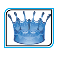 Carolina Pool King logo, Carolina Pool King contact details