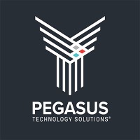 Pegasus Technology Solutions logo, Pegasus Technology Solutions contact details