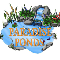 Paradise Ponds by Ed Dedicke, Inc. logo, Paradise Ponds by Ed Dedicke, Inc. contact details