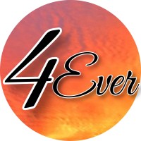 4everinmyheart.com 4everbricks.com logo, 4everinmyheart.com 4everbricks.com contact details