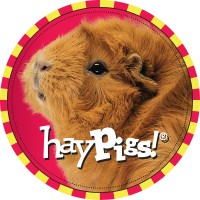 HayPigs!® logo, HayPigs!® contact details