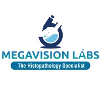 Megavision Labs Pvt Ltd. logo, Megavision Labs Pvt Ltd. contact details