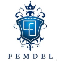 FEMDEL LLC logo, FEMDEL LLC contact details