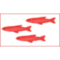 Red Bass Consulting logo, Red Bass Consulting contact details