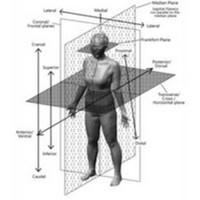 Human Dimensioning Laboratory - University of Minnesota logo, Human Dimensioning Laboratory - University of Minnesota contact details