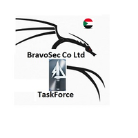 Bravo Team logo, Bravo Team contact details