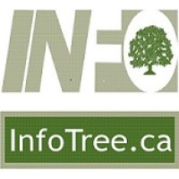 Infotree logo, Infotree contact details