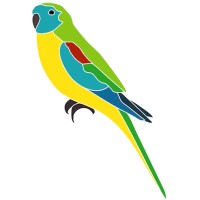 Parakeet Coaching & Consulting logo, Parakeet Coaching & Consulting contact details