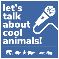 Let's Talk About Cool Animals! logo, Let's Talk About Cool Animals! contact details