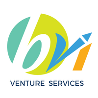 BVI Venture Services logo, BVI Venture Services contact details