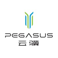 Pegasus Technology Holdings, Inc. logo, Pegasus Technology Holdings, Inc. contact details