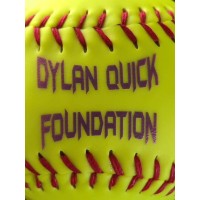 Dylan Quick Foundation logo, Dylan Quick Foundation contact details