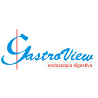 Gastroview Atendimento Médico logo, Gastroview Atendimento Médico contact details