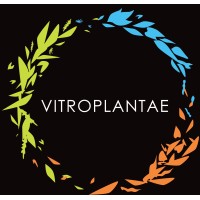 VITROPLANTAE logo, VITROPLANTAE contact details