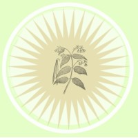 Mother Nature Heals Naturopathy logo, Mother Nature Heals Naturopathy contact details