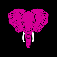 Grupo Elefante Rosa logo, Grupo Elefante Rosa contact details