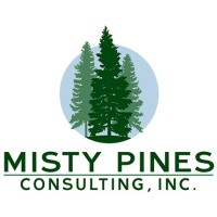 Misty Pines Consulting, Inc logo, Misty Pines Consulting, Inc contact details