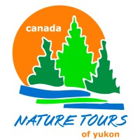 Nature Tours of Yukon Inc. logo, Nature Tours of Yukon Inc. contact details