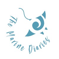 The Marine Diaries logo, The Marine Diaries contact details