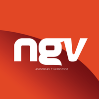 NGV Asesorías y Negocios logo, NGV Asesorías y Negocios contact details