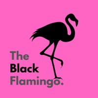 The Black Flamingo logo, The Black Flamingo contact details