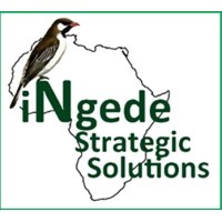 INGEDE STRATEGIC SOLUTIONS logo, INGEDE STRATEGIC SOLUTIONS contact details