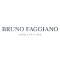 BRUNO FAGGIANO - Arquitetura logo, BRUNO FAGGIANO - Arquitetura contact details