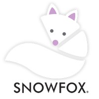 SNOWFOX JFE Franchising, Inc. logo, SNOWFOX JFE Franchising, Inc. contact details