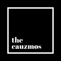 The Cauzmos logo, The Cauzmos contact details