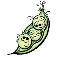 PEAS for Kids logo, PEAS for Kids contact details