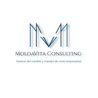 MOLDAVITA CONSULTING logo, MOLDAVITA CONSULTING contact details