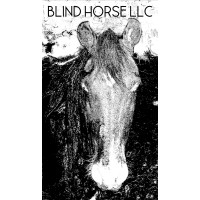 Blind Horse LLC logo, Blind Horse LLC contact details