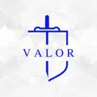 VALOR GLOBAL FOUNDATION logo, VALOR GLOBAL FOUNDATION contact details