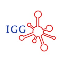 IGG Consultants logo, IGG Consultants contact details