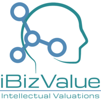 iBizValue logo, iBizValue contact details