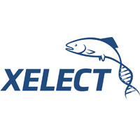 Xelect Ltd logo, Xelect Ltd contact details