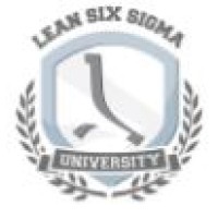 THE LEAN SIX SIGMA COMPANY SENEGAL logo, THE LEAN SIX SIGMA COMPANY SENEGAL contact details