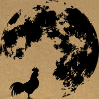 Nocturnal Rooster Design logo, Nocturnal Rooster Design contact details