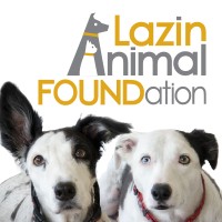 Lazin Animal Foundation Inc. logo, Lazin Animal Foundation Inc. contact details