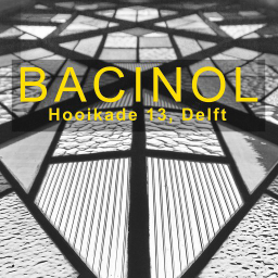 Baciwall BV logo, Baciwall BV contact details