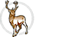 Wapiti Medical Group logo, Wapiti Medical Group contact details