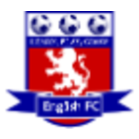 English FC logo, English FC contact details