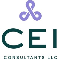 CEI Consultants, LLC logo, CEI Consultants, LLC contact details