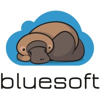 Bluesoft logo, Bluesoft contact details