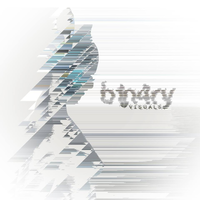 b1n4ry Visuals logo, b1n4ry Visuals contact details