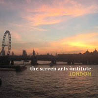 The Screen Arts Institute logo, The Screen Arts Institute contact details