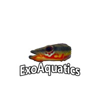 Exotic Aquatics logo, Exotic Aquatics contact details