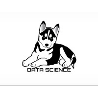 Husky Data Science logo, Husky Data Science contact details