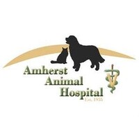 Amherst Animal Hospital Inc logo, Amherst Animal Hospital Inc contact details