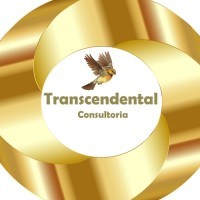 Transcendental Consultoria Virtual logo, Transcendental Consultoria Virtual contact details